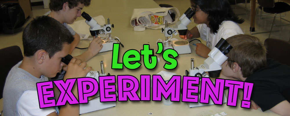 Let's Experiment