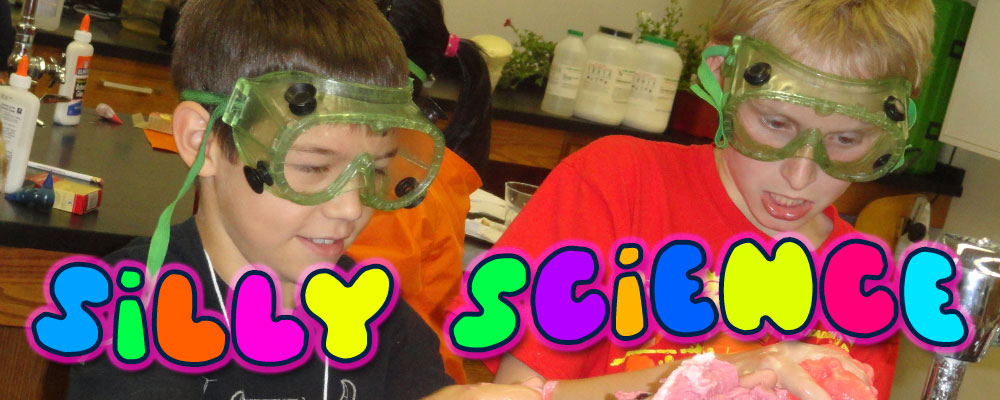 Silly Science
